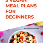 Photo with caption "5 vegan meal plans for beginners" with photo of vegan breakfast fruit bowl. Easyveganmealprep.com