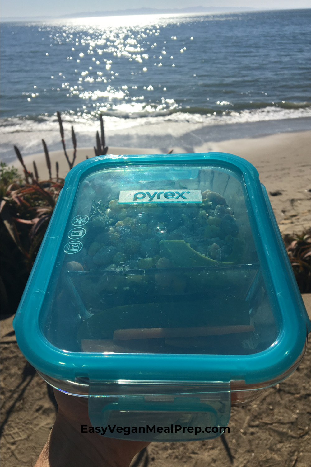 Pyrex meal prep container lunch work