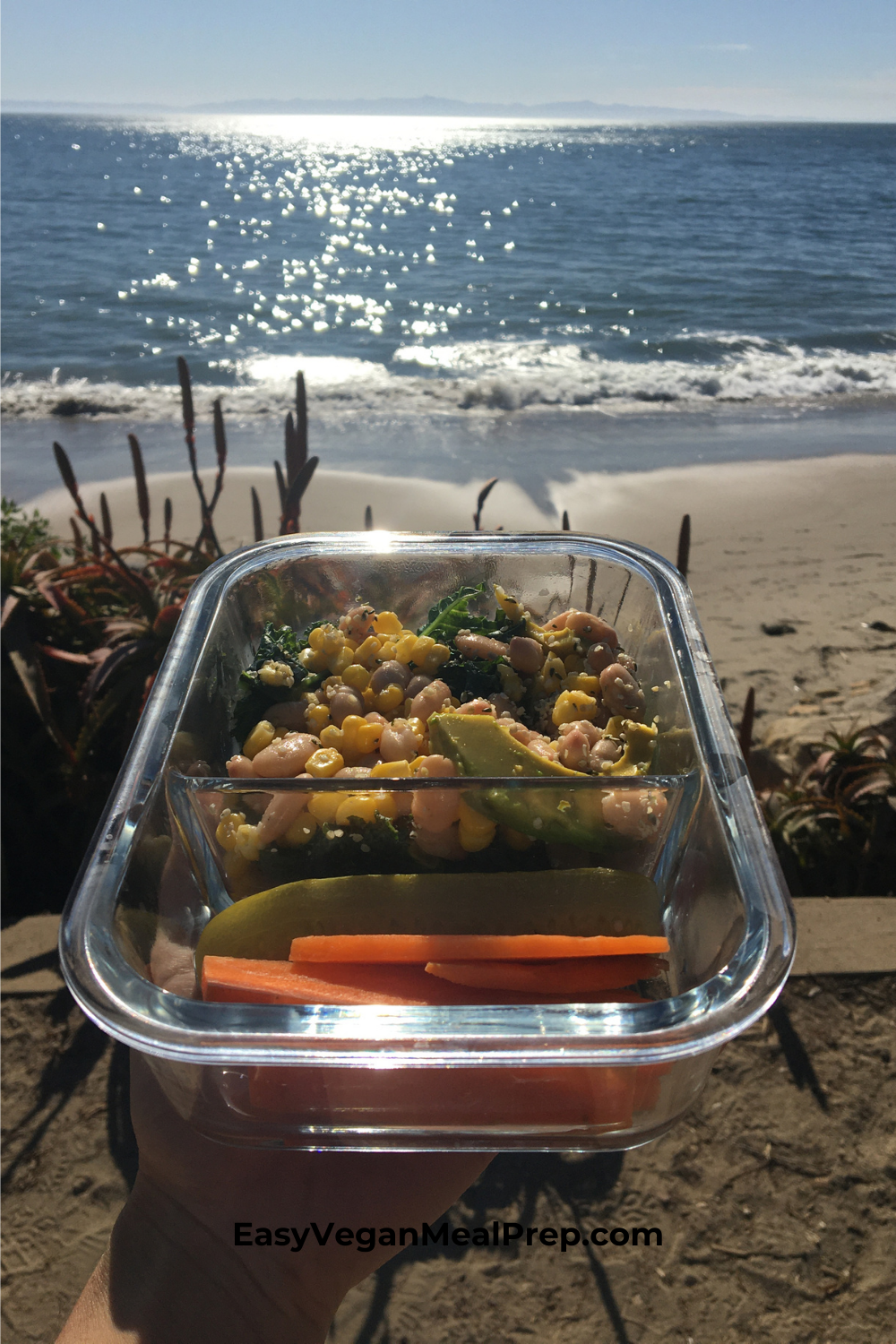 Vegan meal prep lunch