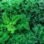 Daily Dozen: Leafy Greens