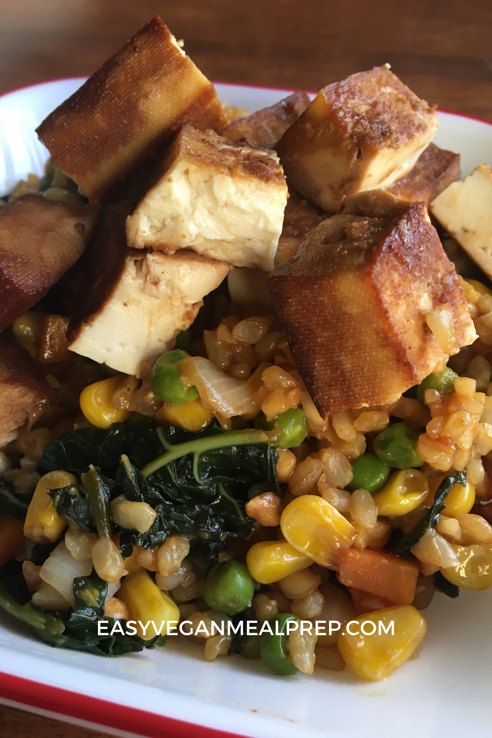 Tofu fried rice recipe closeup photo